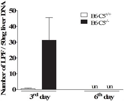 Role of Murine Complement Component C5 in Acute in Vivo Infection by Pathogenic Leptospira interrogans